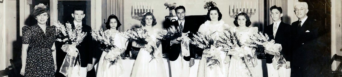 Confirmation-Tree of Life